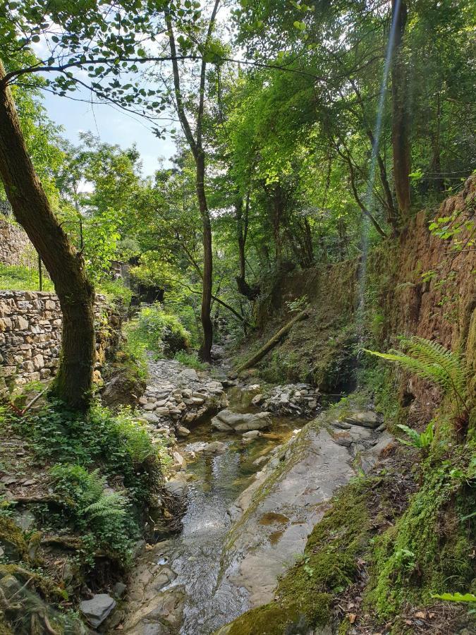 Collina E Mare Camogli Exterior foto