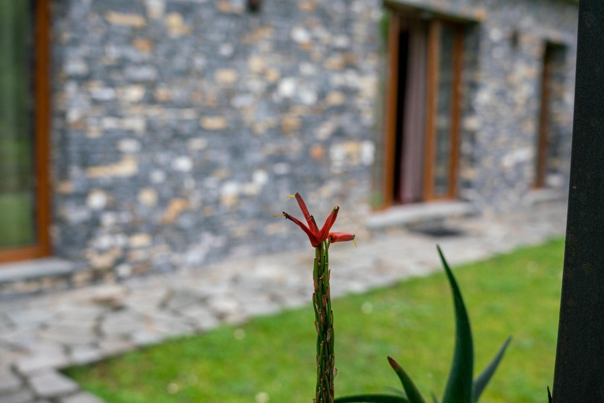 Collina E Mare Camogli Exterior foto